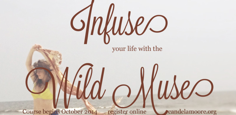 wildmuse_blog