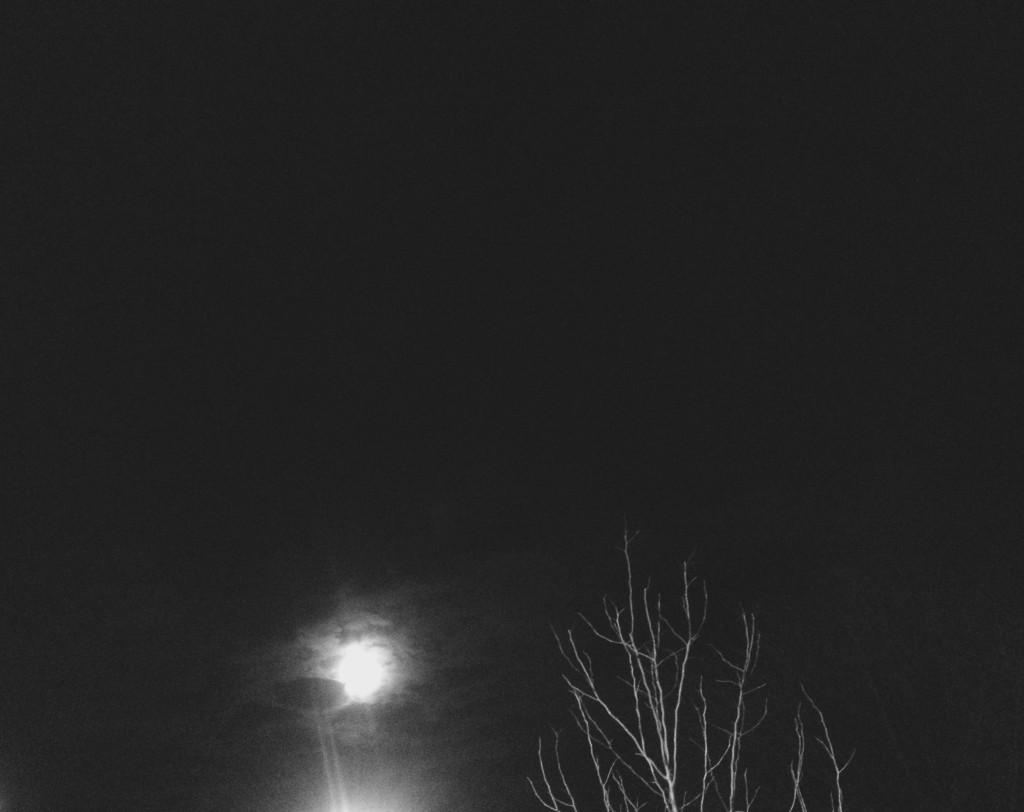 the moon