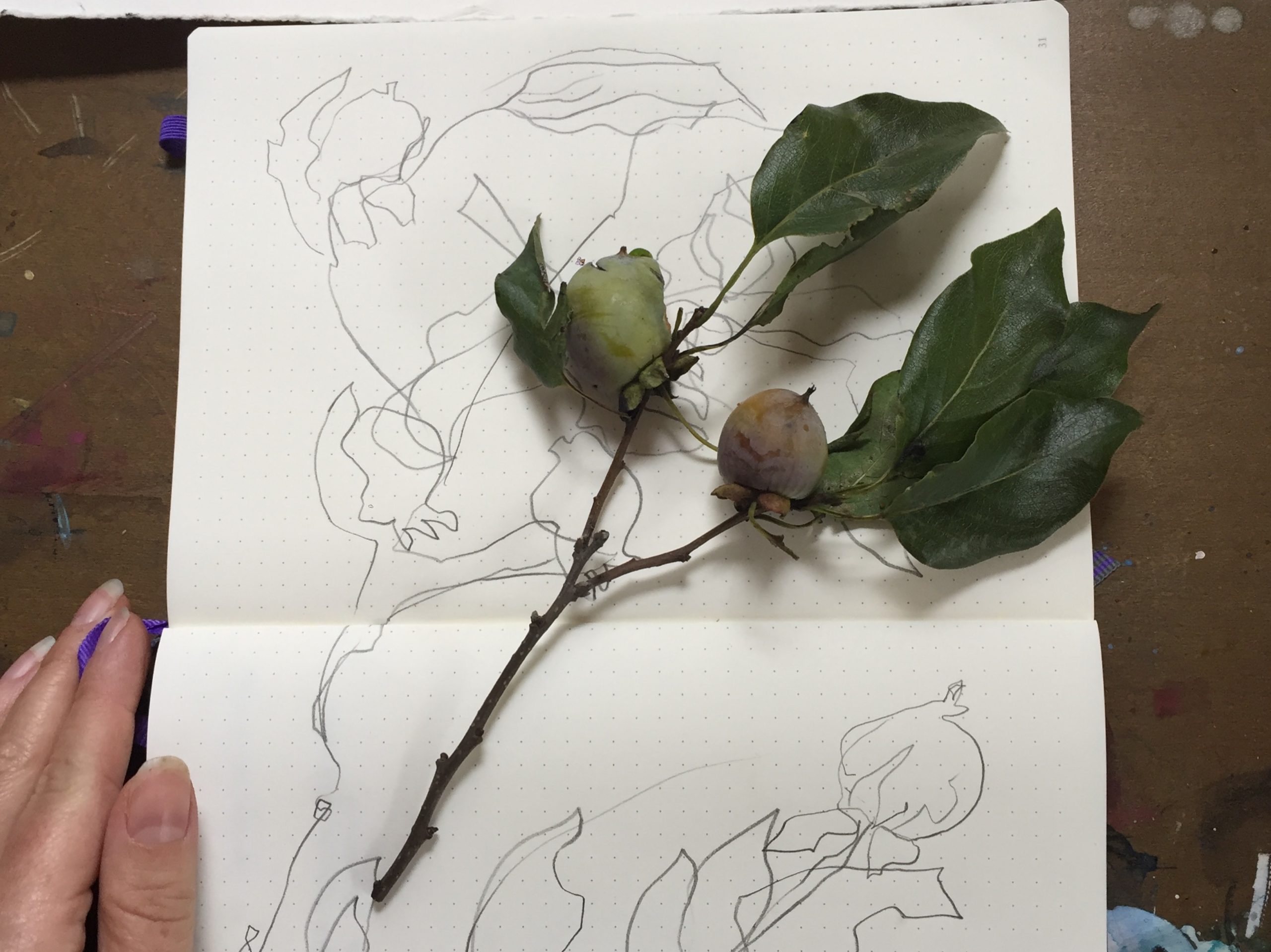 Learning trust with blind contour drawing
