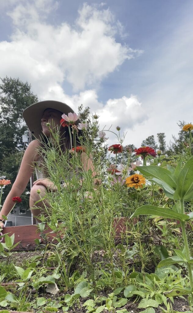 Rose in her garden